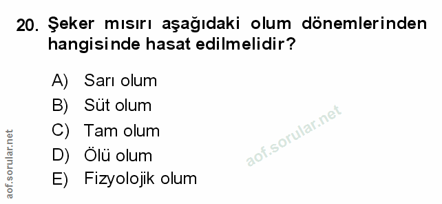 Soru 20