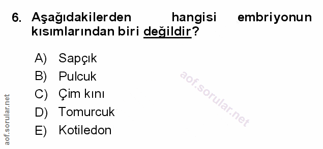 Soru 6