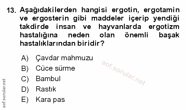 Soru 13