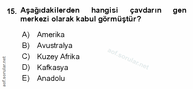 Soru 15