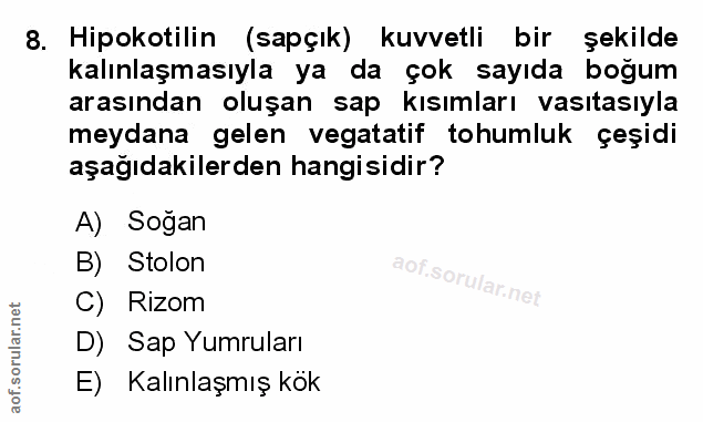 Soru 8