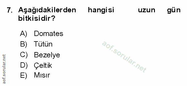 Soru 7