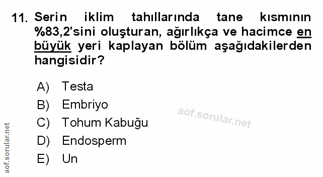 Soru 11
