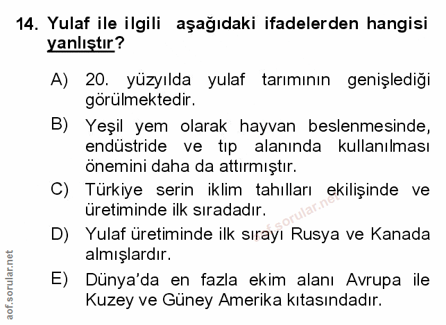 Soru 14