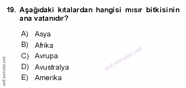 Soru 19