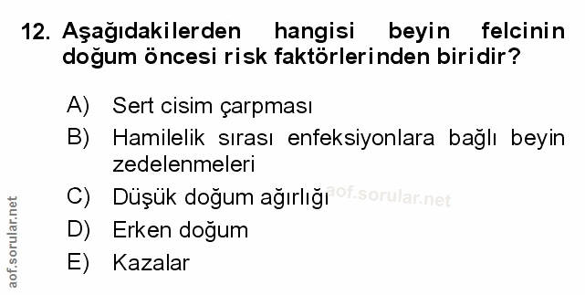 Soru 12