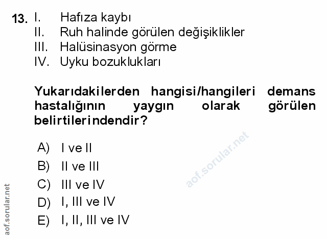 Soru 13
