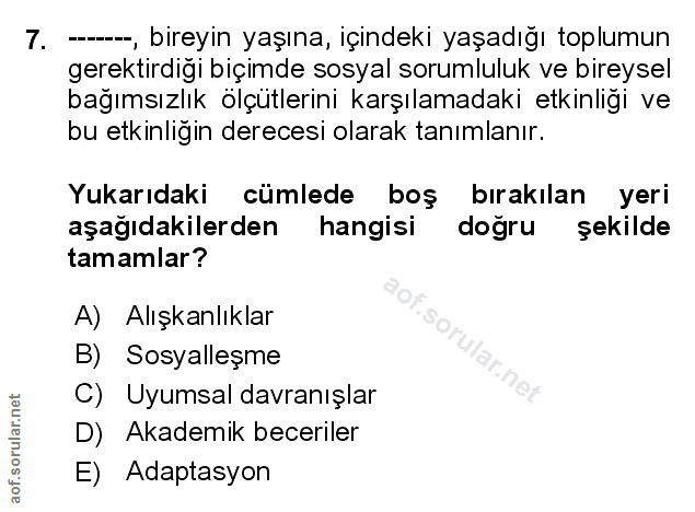 Soru 7