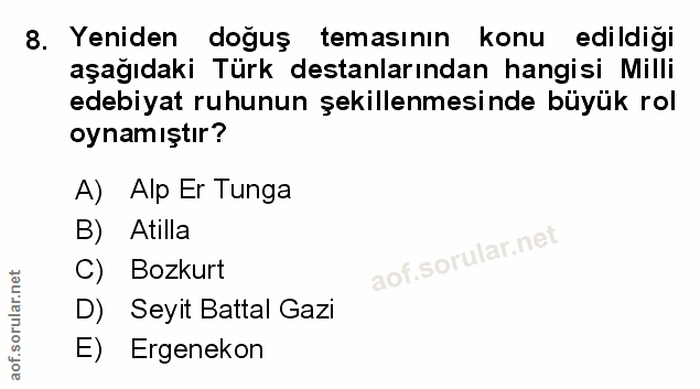 Soru 8