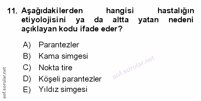 Soru 11