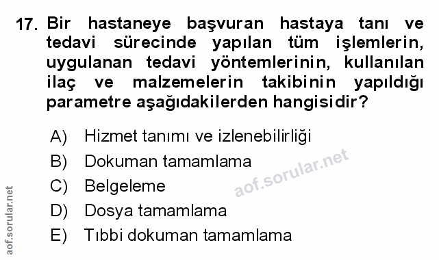 Soru 17