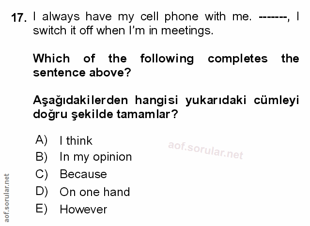 Soru 17