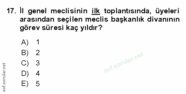 Soru 17