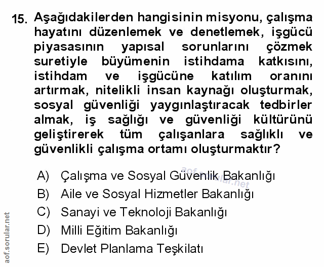 Soru 15