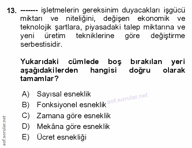 Soru 13