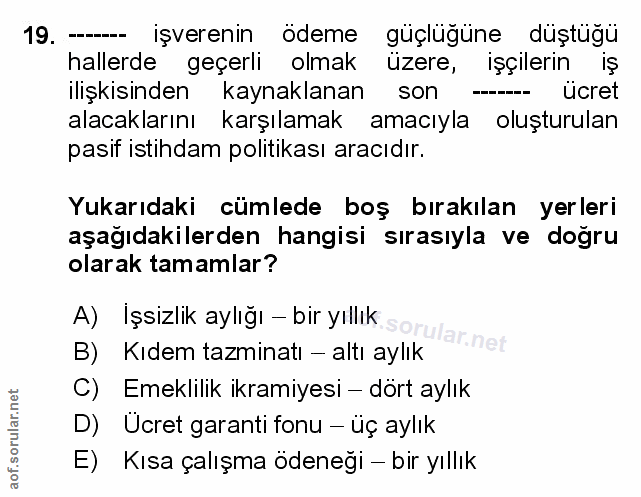 Soru 19