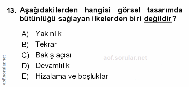 Soru 13