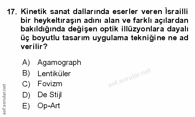 Soru 17