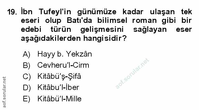 Soru 19