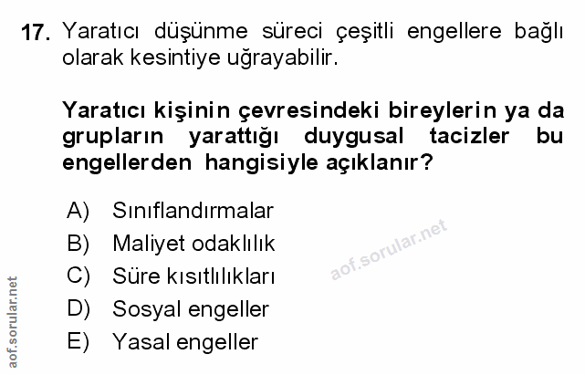 Soru 17