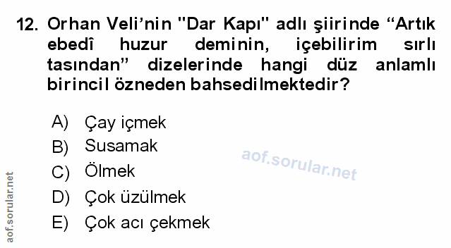 Soru 12
