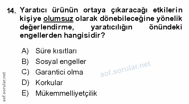 Soru 14