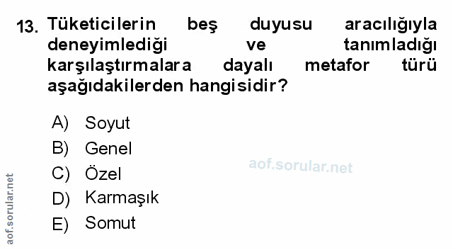 Soru 13