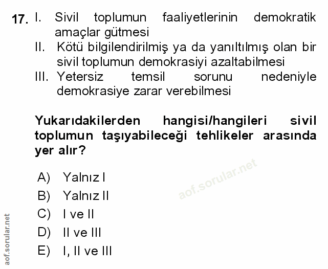 Soru 17