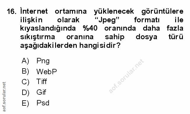 Soru 16
