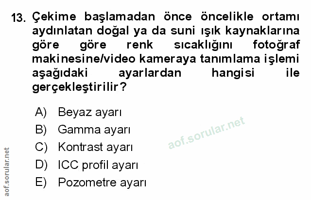 Soru 13