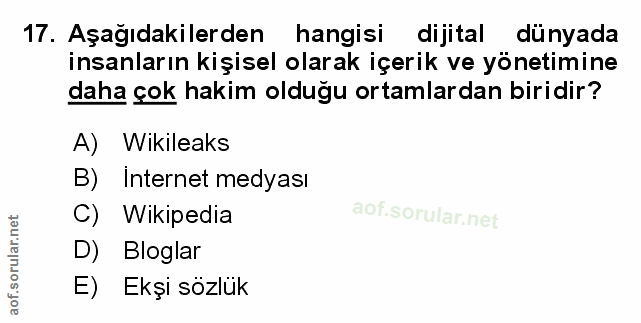 Soru 17