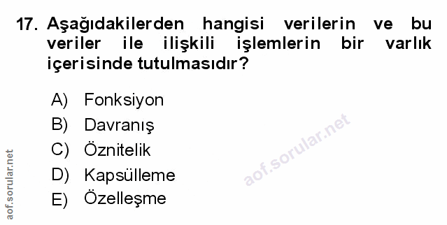 Soru 17