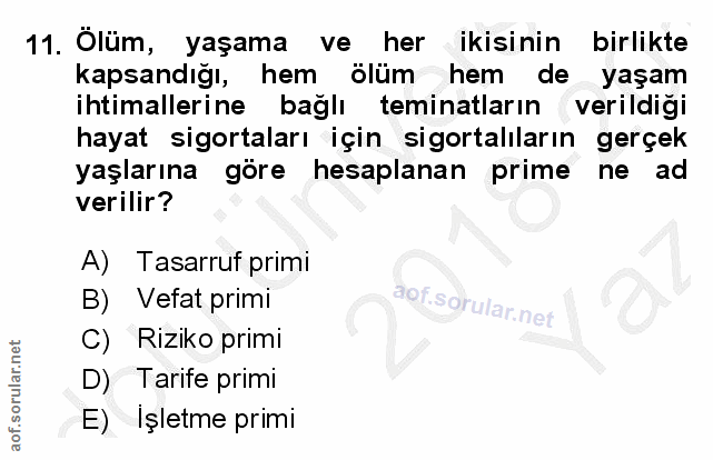 Soru 11