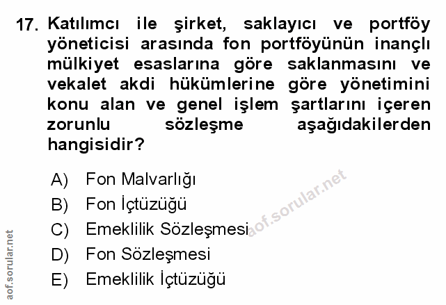 Soru 17
