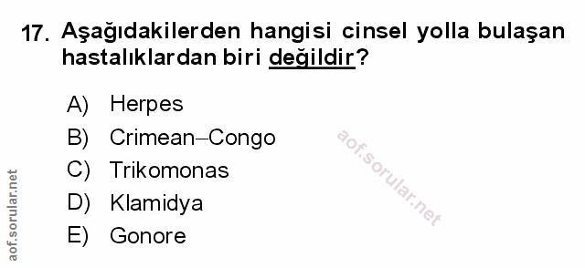 Soru 17