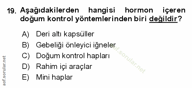 Soru 19