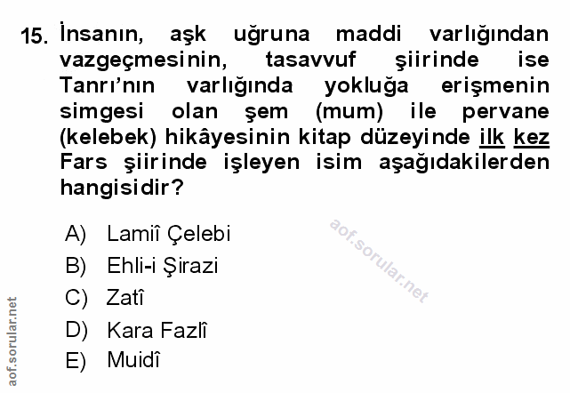 Soru 15