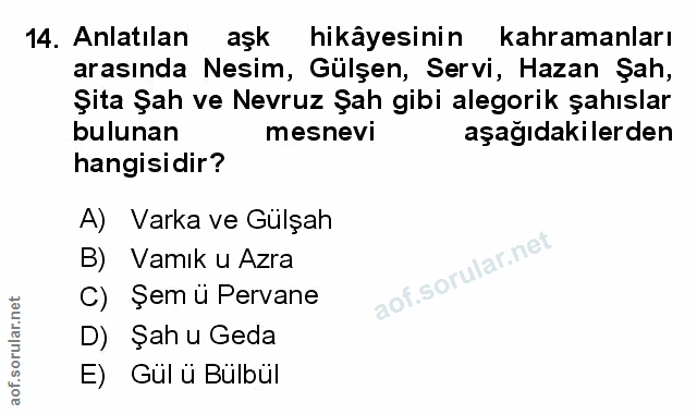Soru 14