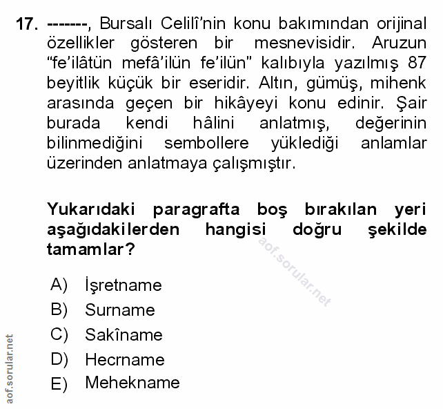 Soru 17