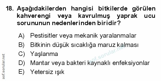 Soru 18