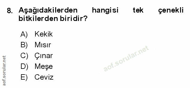 Soru 8