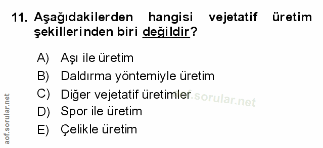 Soru 11