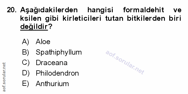 Soru 20