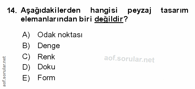 Soru 14