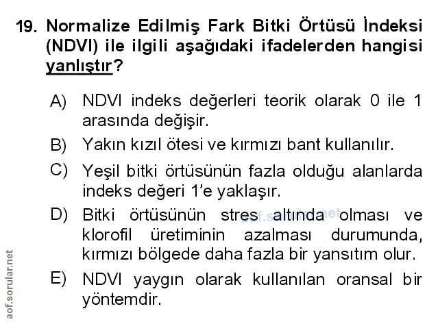 Soru 19