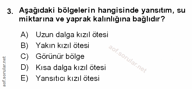 Soru 3