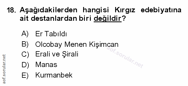 Soru 18