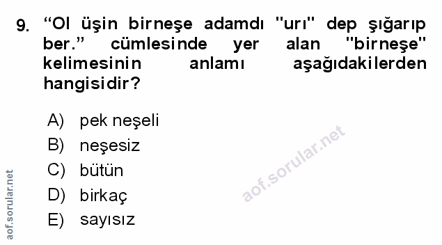 Soru 9