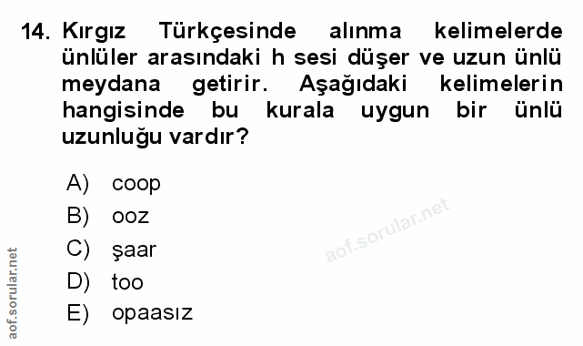 Soru 14