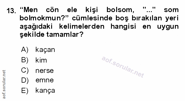 Soru 13